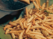 Lifestyle - Khách Tây "toát mồ hôi" nếm thử đặc sản nhung nhúc, béo ngậy ở Việt Nam