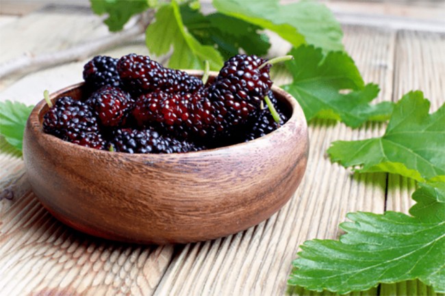 Nhiều người bất ngờ khi thứ quả gắn với tuổi thơ của những đứa trẻ ở các miền quê Việt Nam nay lại được dân thành phố ưa chuộng đến lạ