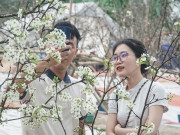 Clip Eva - Người dân Hà Nội chơi hoa lê rừng sau tết