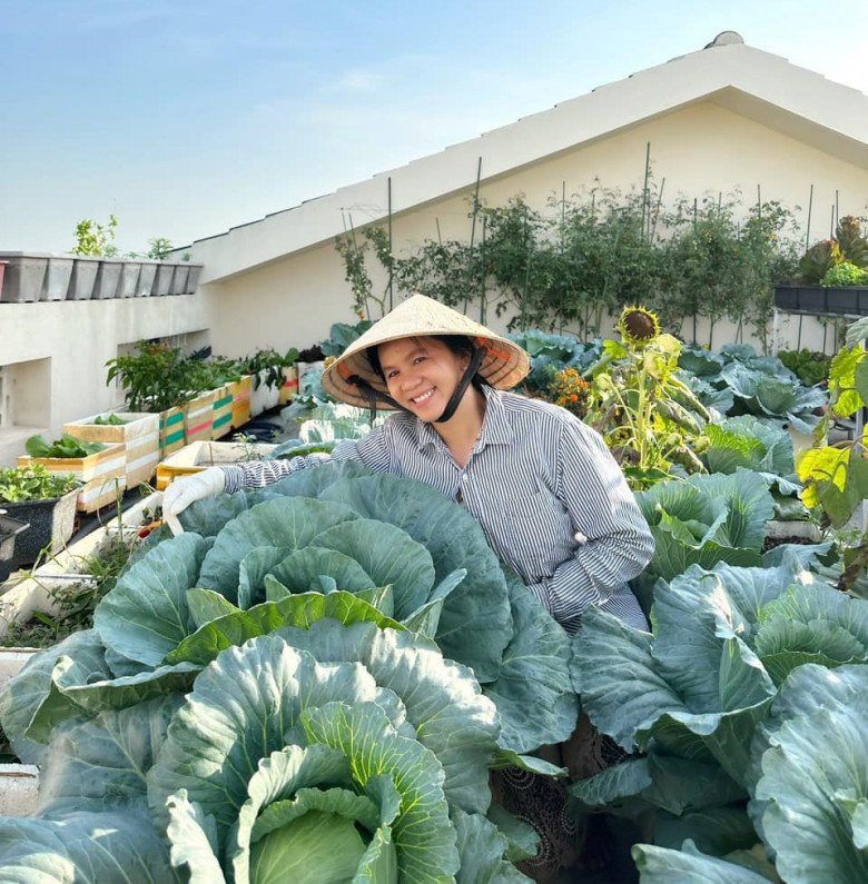 Chị Phương Kiều đã trồng rau trên sân thượng được hơn 3 năm. 