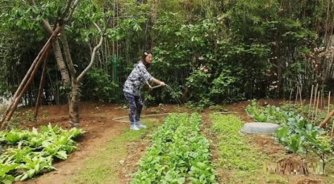 Châu Hải My từng có khu vườn xanh mướt.