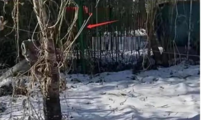 Hiện tại, tất cả đều hoang tàn và tiêu điều.