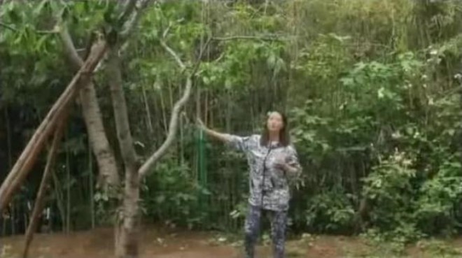 Khi Châu Hải My còn sống, cô rất chăm chút cho mọi thứ xung quanh nhà.