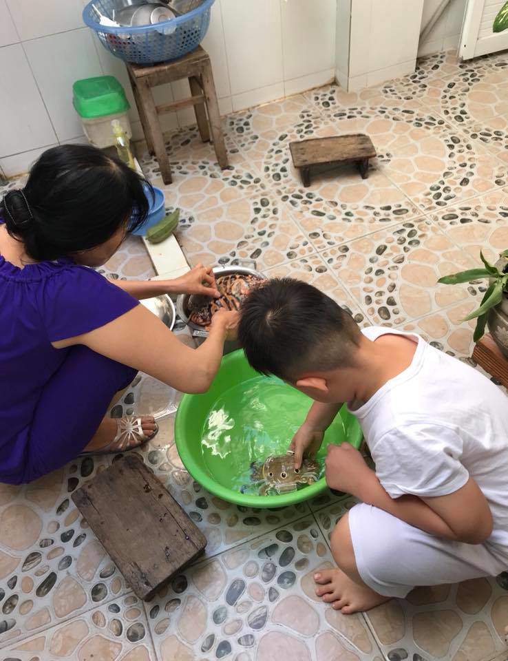 Từ thuở nhỏ, bé Cà Pháo cũng rất mê hải sản quê ba Trung Kiên. Cậu bé còn phụ nội xếp ghẹ vào nồi để nấu.