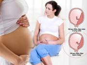 Bà bầu - Nhau thai bám thấp: Tình trạng mẹ bầu nào cũng sợ và các nguy hiểm cần biết