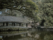 Lifestyle - Ngôi chùa gần nghìn năm tuổi giữa lòng Hà Nội hút khách dịp đầu năm