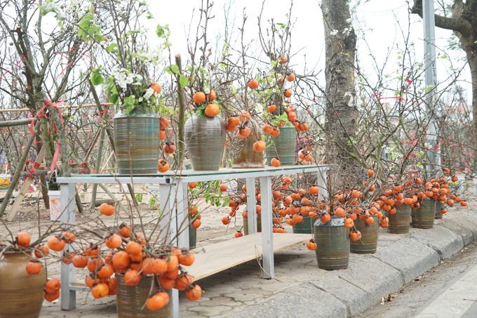 img srchttps://cdn.eva.vn/upload/1-2024/images/2024-02-28/hong-u-ru-hon-trieu-mot-binh-chu-quyet-khong-ha-gia-du-qua-heo-quoat-khong-mot-cong-la-hong3-1709094272-751-width680height453.jpg width660 /