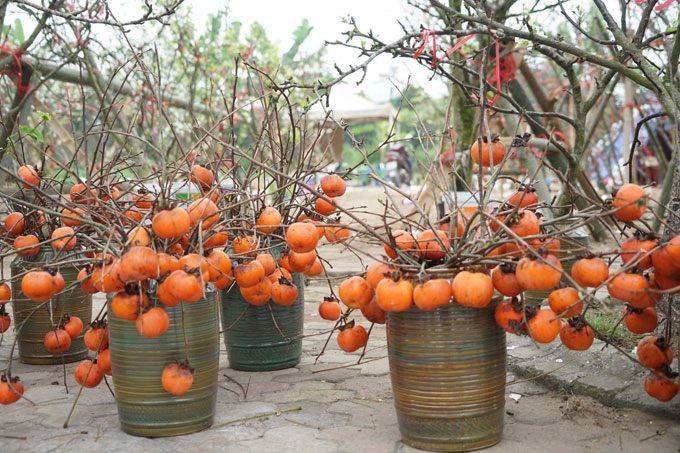 img srchttps://cdn.eva.vn/upload/1-2024/images/2024-02-28/hong-u-ru-hon-trieu-mot-binh-chu-quyet-khong-ha-gia-du-qua-heo-quoat-khong-mot-cong-la-hong5-1709094272-80-width680height453.jpg width660 /