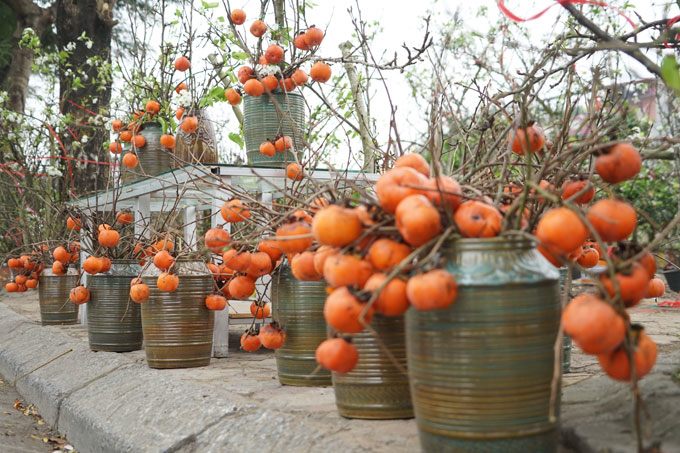 Cành quả mang lại may mắn được bán sau Tết: Quả ủ rũ héo quắt vẫn hét tiền triệu, chủ quyết không giảm giá - 2