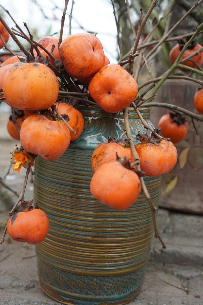 img srchttps://cdn.eva.vn/upload/1-2024/images/2024-02-28/hong-u-ru-hon-trieu-mot-binh-chu-quyet-khong-ha-gia-du-qua-heo-quoat-khong-mot-cong-la-hong6-1709094272-258-width680height453.jpg width660 /