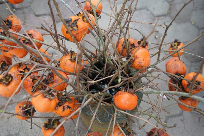 Cành quả mang lại may mắn được bán sau Tết: Quả ủ rũ héo quắt vẫn hét tiền triệu, chủ quyết không giảm giá - 6