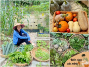 Nhà đẹp - Mẹ xinh làm vườn từ mục đích cho con ăn dặm, suốt mùa mưa dài ở Quảng Nam cả nhà vẫn có rau xanh ăn