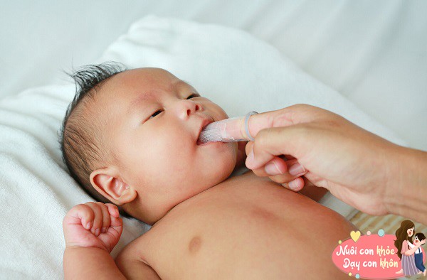 Hãy chú ý lau sạch những vùng như lưỡi và nướu của trẻ.