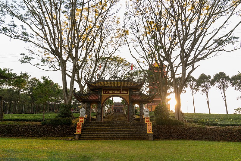 Tại Bảo Lộc, hoa phượng vàng nổi bật nhất tại khu vực Tu viện Bát Nhã, chốn thanh tịnh cách trung tâm khoảng 17km.
