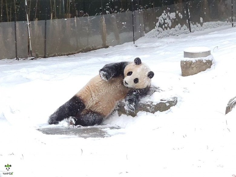 img srchttps://cdn.eva.vn/upload/1-2024/images/2024-03-04/fan-khoc-mai-khong-ngung-trong-ngay-cuoi-gap-cong-chua-tai-phiet-fubao-416355895_270527492705283_8248189083479330919_n-1709531435-819-width780height780.jpg width660 /