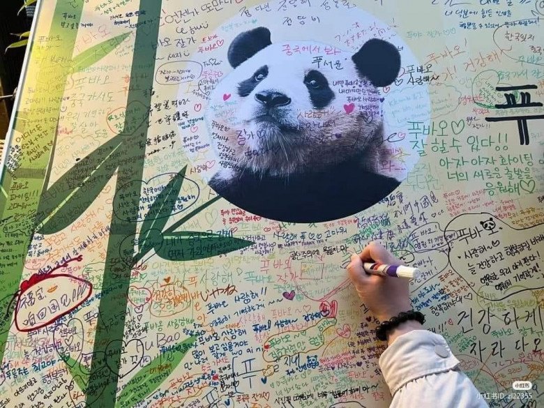 Rất nhiều fan đã viết lời chúc, nhắn nhủ đến Fubao trước khi bé về Trung Quốc.