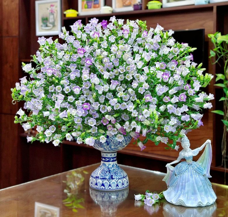 Một bình hoa chuông tím lilac được chị Thanh Nhài cắm bằng 5 bó hoa. Ngày thứ 5, hoa đã nở căng tròn. 