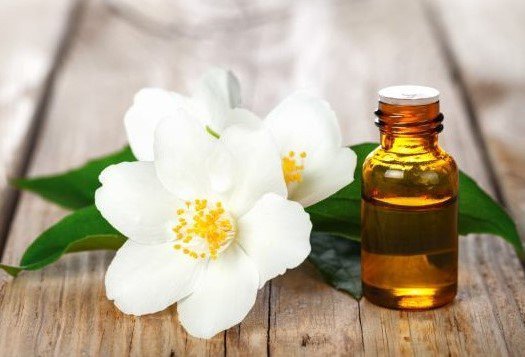 Hoa bưởi đừng chỉ để ngửi, kết hợp với những thứ này giúp dưỡng phổi lại bổ gan, tiếc là ít người biết - 2