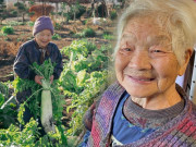 Sức khỏe - Cụ bà 95 tuổi vẫn tự trồng rau và nấu ăn, khuyên làm 5 việc để trường thọ, điều cuối giúp não bộ trẻ lại