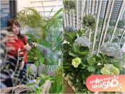 Nhà đẹp - Khu vườn xanh mát mắt trong căn hộ chung cư của BTV VTV Diệp Chi, trồng cả hoa cẩm tú cầu xinh đẹp