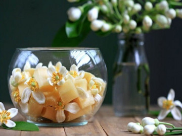 Hoa bưởi đừng chỉ để ngửi, kết hợp với những thứ này giúp dưỡng phổi lại bổ gan, tiếc là ít người biết