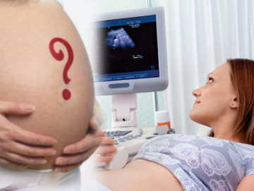 Nhịp tim thai của bé trong bụng mẹ tiết lộ điều gì?