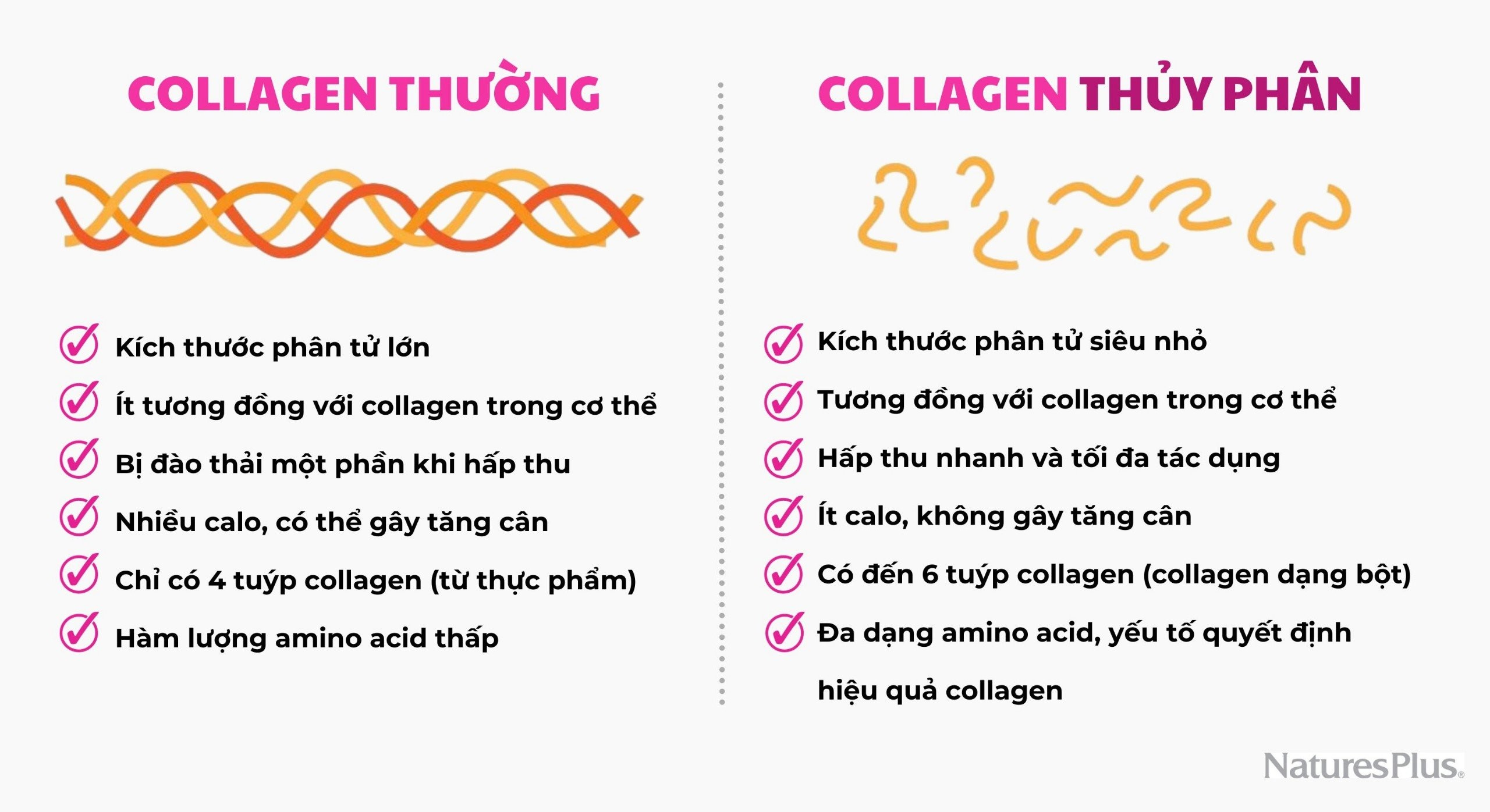 Collagen thủy phân với nhiều ưu điểm vượt trội so với collagen thường