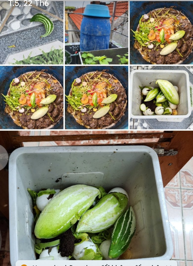 Anh Toàn tận dụng rác thải nhà bếp để ủ phân bón cho rau. 