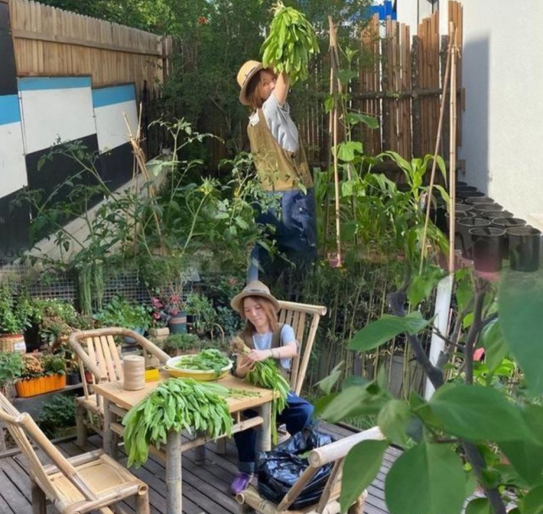 Thuê nhà cổ hơn 90 năm tuổi, nữ ca sĩ tự tay cải tạo nhà, trồng vườn rau xanh mướt trong sân - 14