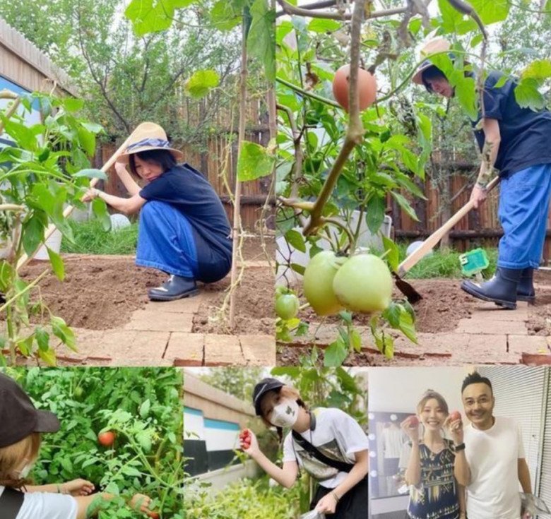 Hoàng Nhã Lợi cùng chồng đã cải tạo sân vườn để trồng rau. 