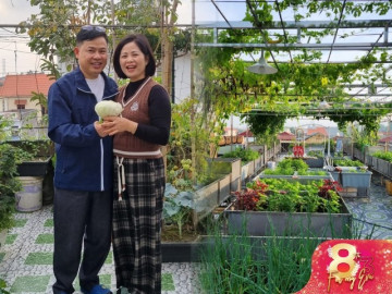 Anh chồng dỡ mái tôn làm vườn trên sân thượng khi vợ bầu lần 3, tình yêu giản dị từ vườn rau tặng vợ