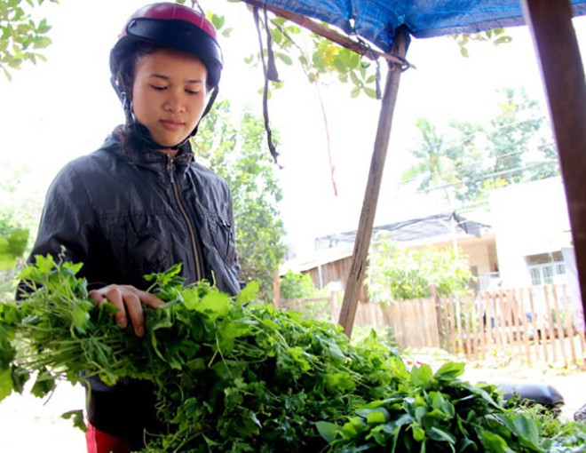 Loại rau dại xưa không ai biết đến, nay thành món đặc sản có hương vị ...