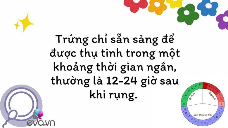 Chỉ còn 1 tháng để amp;#34;săn Rồng conamp;#34;, mẹ đừng bỏ qua dấu hiệu ngày rụng trứng để thụ thai thành công - 1