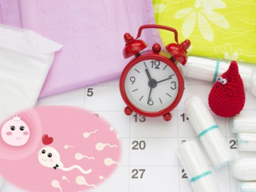 Chỉ còn 1 tháng để săn Rồng con, mẹ đừng bỏ qua dấu hiệu ngày rụng trứng để thụ thai thành công