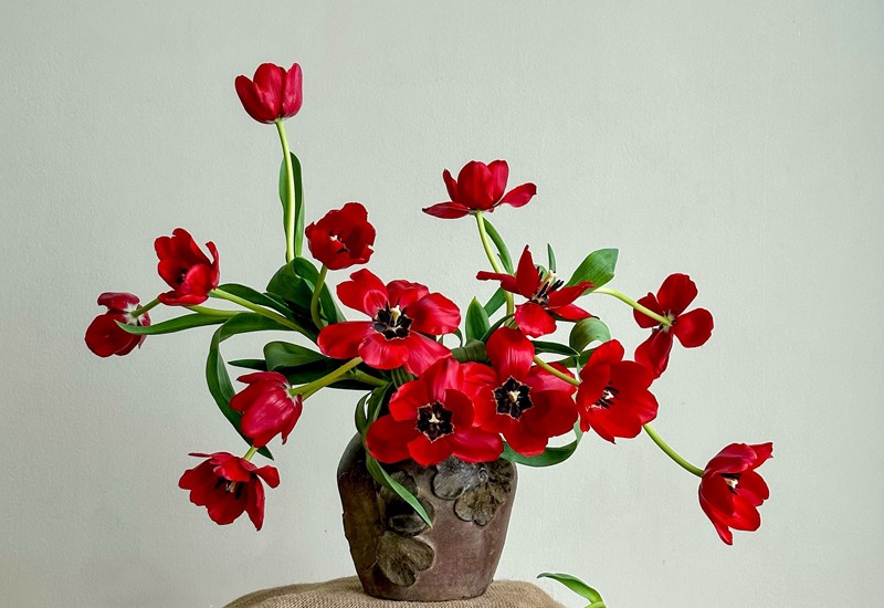 "Mùa tulip đang rộ, mọi người hãy tranh thủ cắm cho mình 1 bình hoa xinh nhé. Chúc mọi người cắm được những bình hoa tulip thật lung linh", chị Thủy nói.
