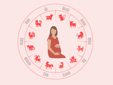 Người Việt sinh con năm nào nhiều nhất?