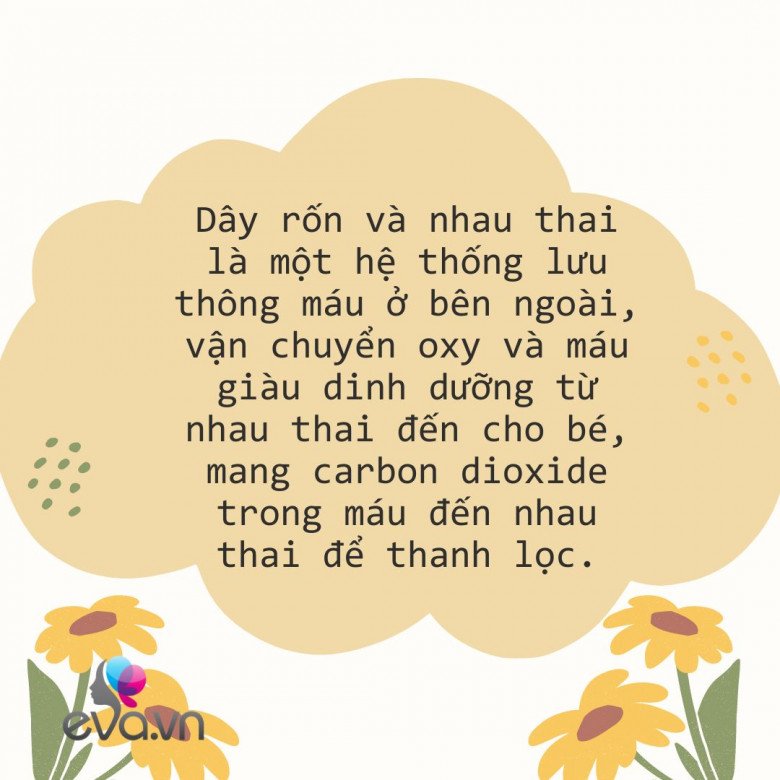 amp;#34;Cắt rốn bằng laser có lợi cho trẻ thế nàoamp;#34; và những điều mẹ bầu cần biết về phương pháp hiện đại này - 1