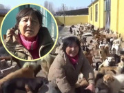 Tin tức - Người phụ nữ từ bỏ cuộc sống ở Mỹ, gánh nợ 1,7 tỷ để chăm sóc hàng nghìn chó, mèo