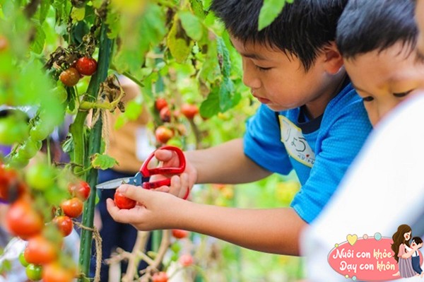 Thay vì đặt một áp lực quá lớn lên vai trẻ, hãy giảm bớt kỳ vọng và để cho con phát triển theo đúng tiềm năng của mình.