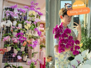 Nhà đẹp - Sinh viên đại học biến rác thành hoa, nay có vườn lan hồ điệp đủ màu sắc ngay trong nhà, cây nào cũng đẹp nao lòng