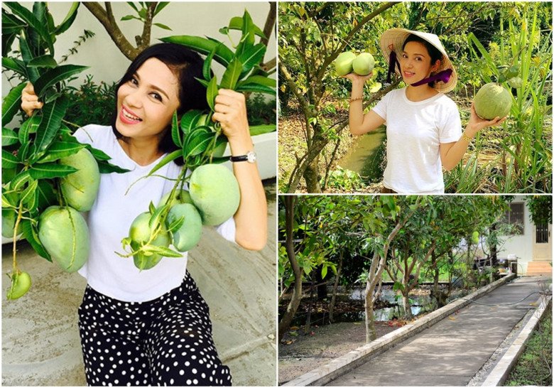 Nữ diễn viên sở hữu căn nhà hàng nghìn mét vuông với nhiều cây trái khiến nhiều người ngưỡng  mộ.