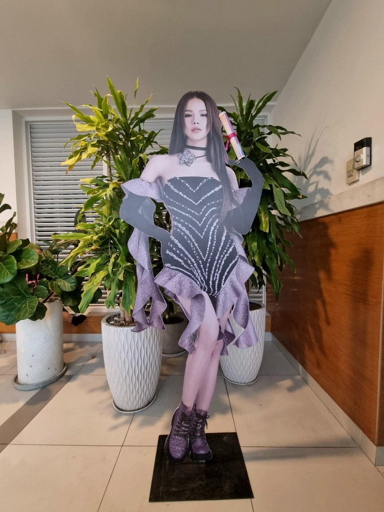 Diệp Lâm Anh amp;#34;fakeamp;#34; xuất hiện trước cửa nhà Phạm Quỳnh Anh, bé Tuệ An amp;#34;hết hồnamp;#34; - 5