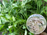 Loại lá xưa rụng thối gốc nay dân thành phố tranh nhau mua, đem nấu canh lòng lợn siêu ngon