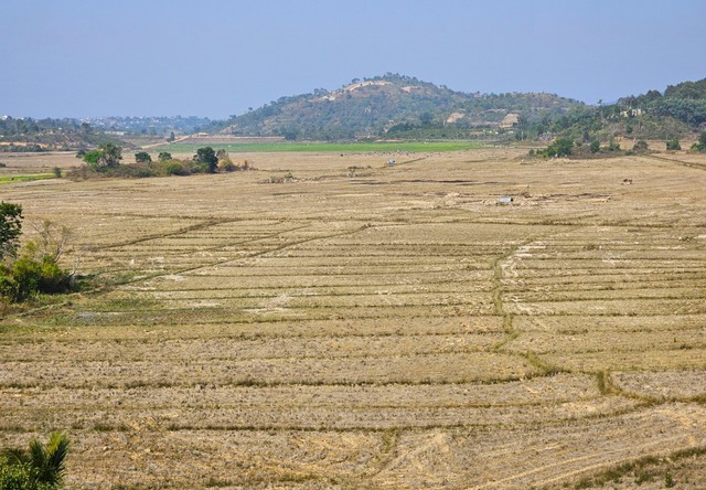 Ruộng vườn của người dân tại thị trấn Di Linh khô hạn thời gian qua.