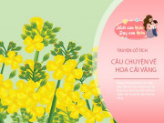 Nuôi con IQ EQ - Truyện cổ tích: Sự tích hoa cải vàng