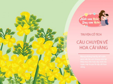 Truyện cổ tích: Sự tích hoa cải vàng
