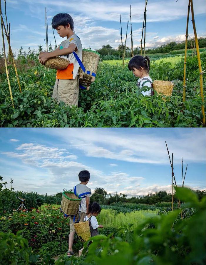 Cặp vợ chồng bán nhà đưa con về quê thuê gần 27.000m2 đất làm nông dân trồng hoa, rau trái, thoát cảnh bon chen ở thành phố - 9