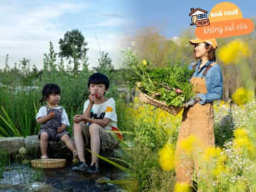 Cặp vợ chồng bán nhà đưa con về quê thuê gần 27.000m2 đất làm nông dân trồng hoa, rau trái, thoát cảnh bon chen ở thành phố