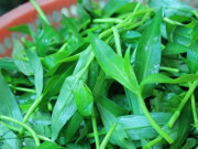 Lifestyle - Loại rau xưa hái cho lợn ăn, nay thành món đặc sản mang hương vị lạ ở thành phố, ai ăn cũng mê mẩn