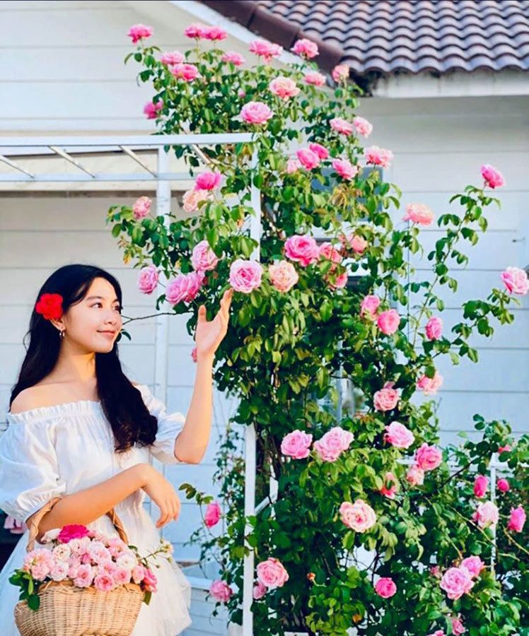 Bà xã Dạ Thảo tự tay chăm sóc khu vườn và từng thu hoạch nhiều cây trái khiến fan ngưỡng mộ. Vườn hoa hồng cũng làm nhiều người mê đắm.